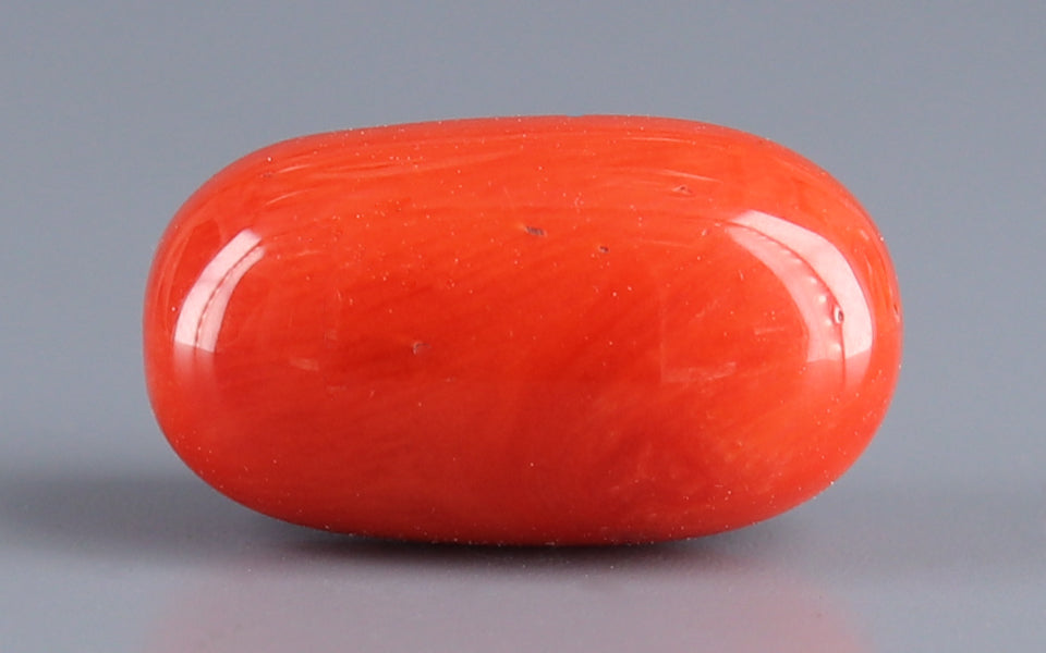 Red Coral - 8.31 Carat (9.18 Ratti - Moonga)