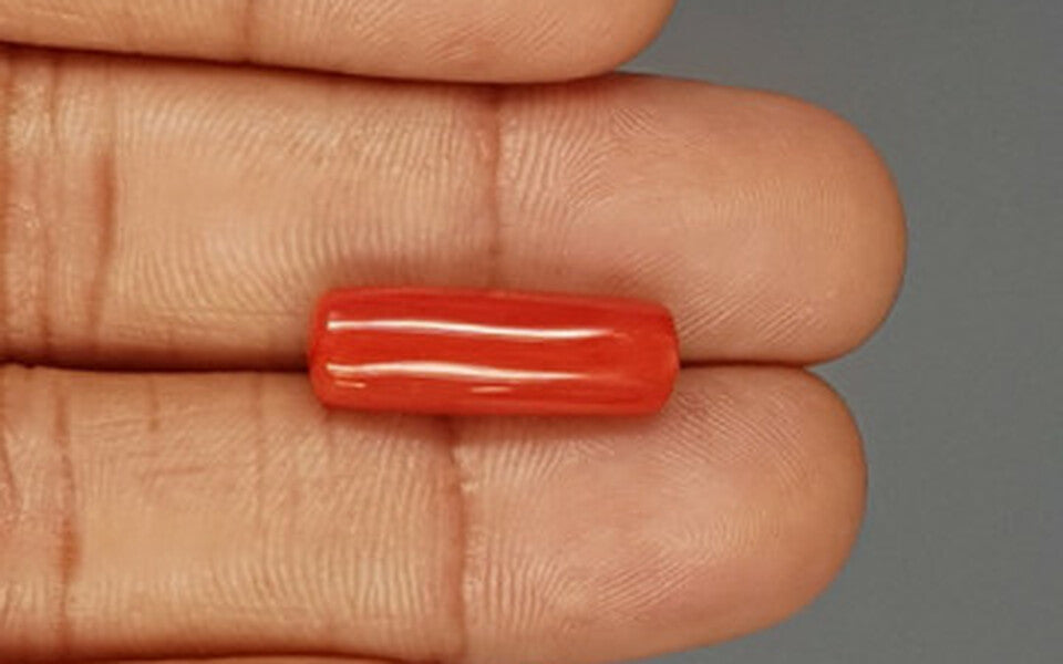 Italian Red Coral - 8.34 Carat Prime Quality CC-5767