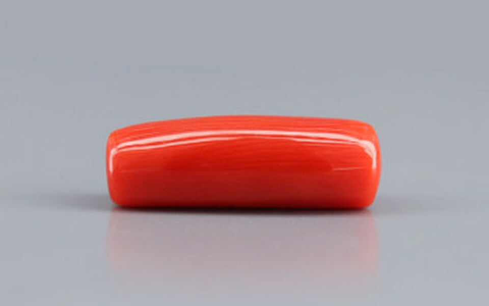 Red Coral - 8.34 Carat (9.22 Ratti - Moonga)