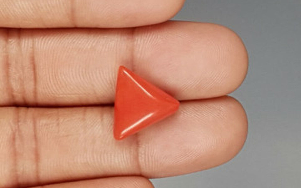 Red Coral - 8.39 Carat (9.27 Ratti - Moonga)