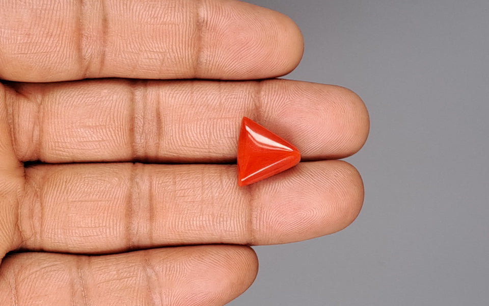 Red Coral - 8.41 Carat (9.29 Ratti - Moonga)