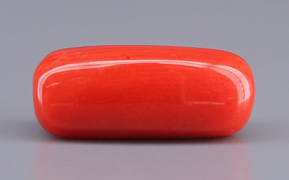 Italian Red Coral - 8.50 Carat Prime Quality CC-5916