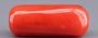 Italian Red Coral - 8.51 Carat Prime Quality CC-5913