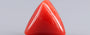 Red Coral - 8.64 Carat (9.55 Ratti - Moonga)