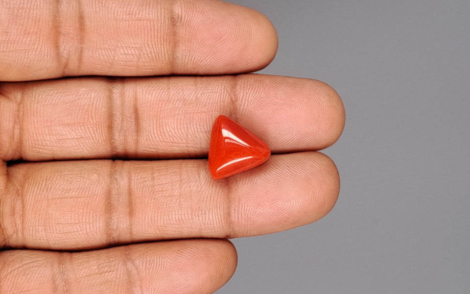 Red Coral - 8.75 Carat (9.67 Ratti - Moonga)