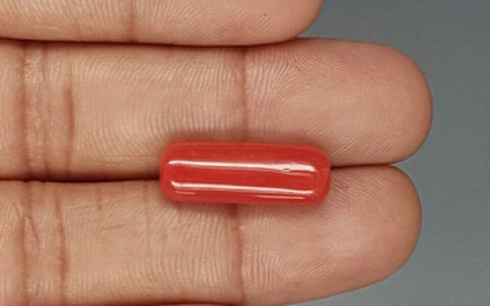 Italian Red Coral - 8.82 Carat Prime Quality CC-5759
