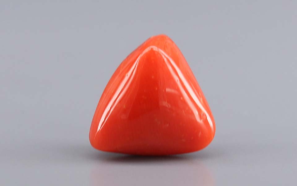 Red Coral - 8.84 Carat (9.77 Ratti - Moonga)
