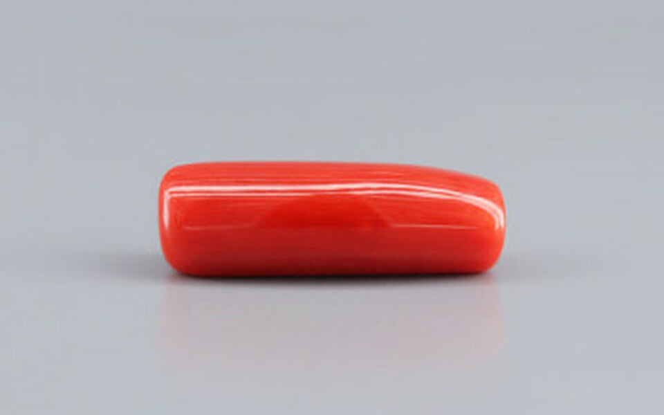 Red Coral - 8.86 Carat (9.79 Ratti - Moonga)