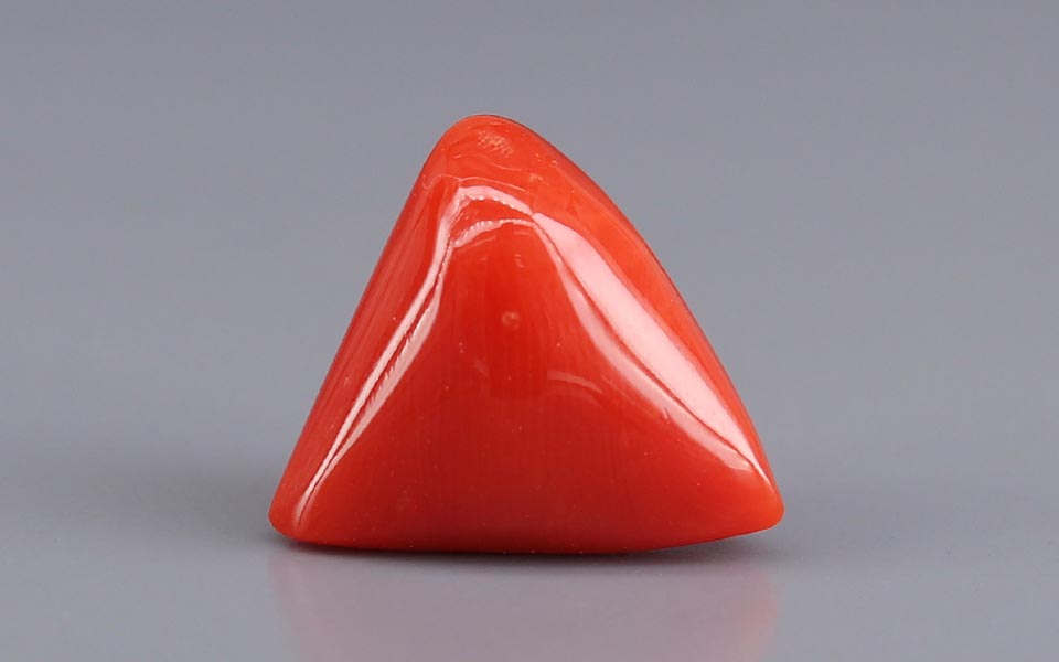 Red Coral - 8.90 Carat (9.83 Ratti - Moonga)