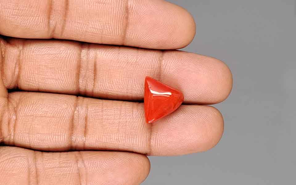 Red Coral - 8.90 Carat (9.83 Ratti - Moonga)