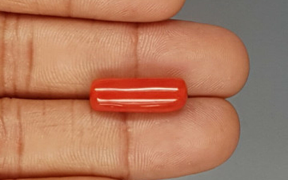 Italian Red Coral - 8.93 Carat Prime Quality CC-5762