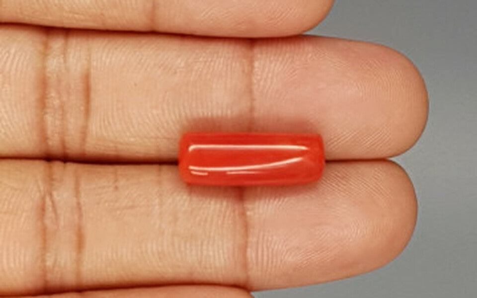 Italian Red Coral - 8.94 Carat Prime Quality CC-5781