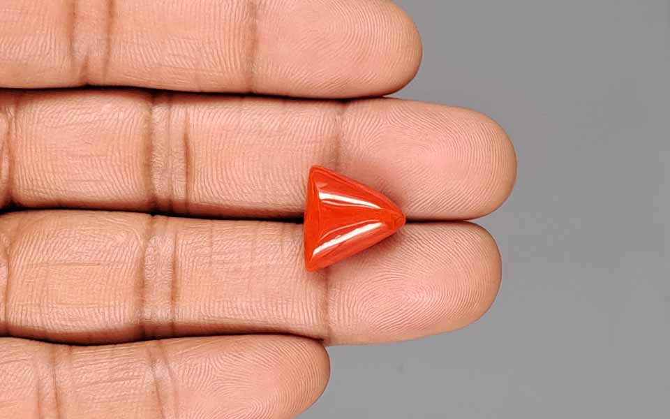 Red Coral - 8.98 Carat (9.92 Ratti - Moonga)