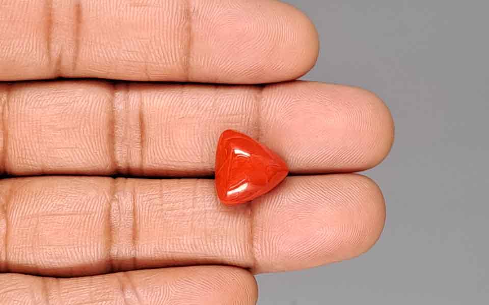 Red Coral - 8.99 Carat (9.93 Ratti - Moonga)