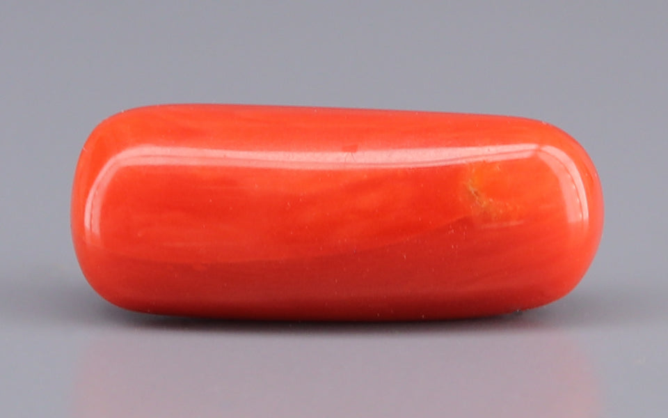 Italian Red Coral - 9.03 Carat Prime Quality CC-5918