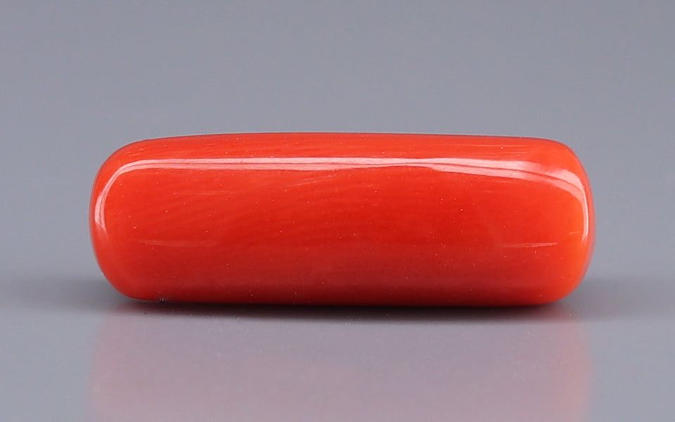 Red Coral - 9.06 Carat (10.01 Ratti - Moonga)