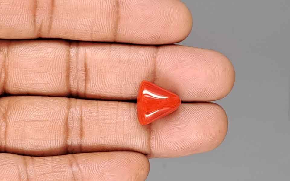 Red Coral - 9.25 Carat (10.22 Ratti - Moonga)