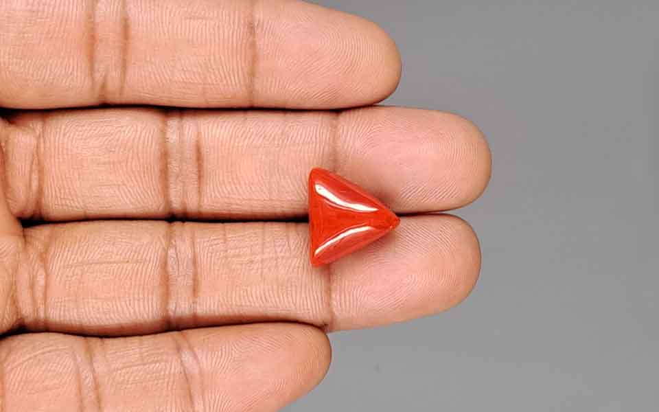 Red Coral - 9.27 Carat (10.24 Ratti - Moonga)