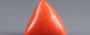 Red Coral - 9.28 Carat (10.25 Ratti - Moonga)
