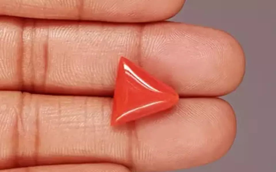 Red Coral - 9.31 Carat (10.29 Ratti - Moonga)