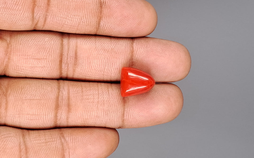 Red Coral - 9.31 Carat (10.29 Ratti - Moonga)