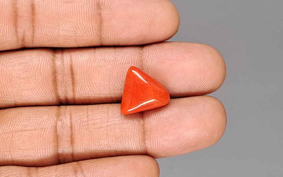 Red Coral - 9.47 Carat (10.46 Ratti - Moonga)