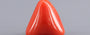 Red Coral - 9.47 Carat (10.46 Ratti - Moonga)