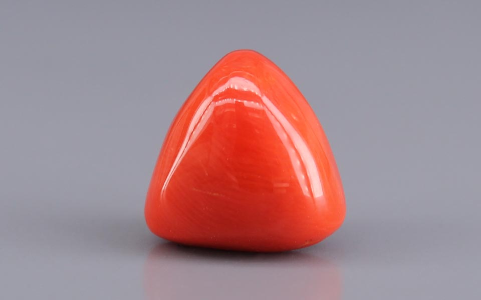 Red Coral - 9.48 Carat (10.48 Ratti - Moonga)