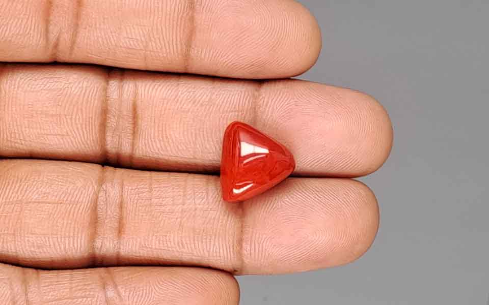 Red Coral - 9.68 Carat (10.70 Ratti - Moonga)