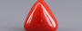 Red Coral - 9.68 Carat (10.70 Ratti - Moonga)