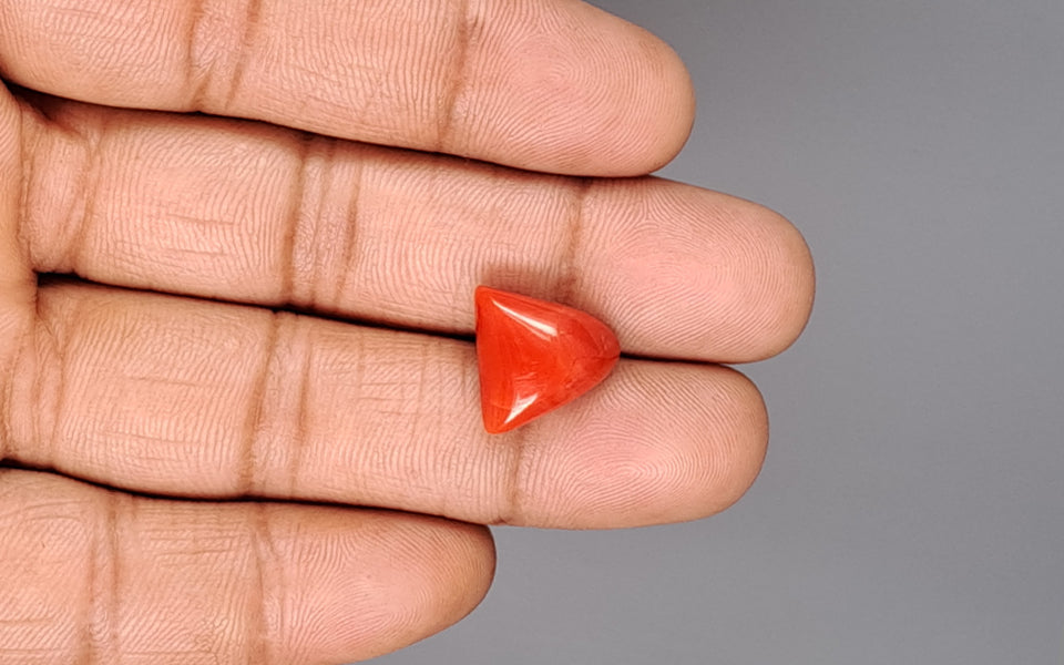 Italian Red Coral - 9.71 Carat Limited Quality TC-5400