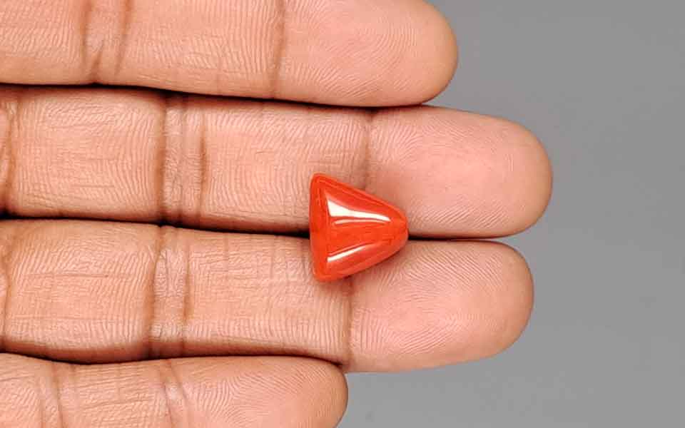 Red Coral - 9.78 Carat (10.81 Ratti - Moonga)
