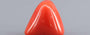 Red Coral - 9.78 Carat (10.81 Ratti - Moonga)