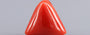 Red Coral - 9.81 Carat (10.84 Ratti - Moonga)