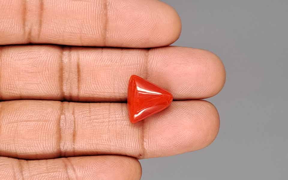 Red Coral - 9.81 Carat (10.84 Ratti - Moonga)
