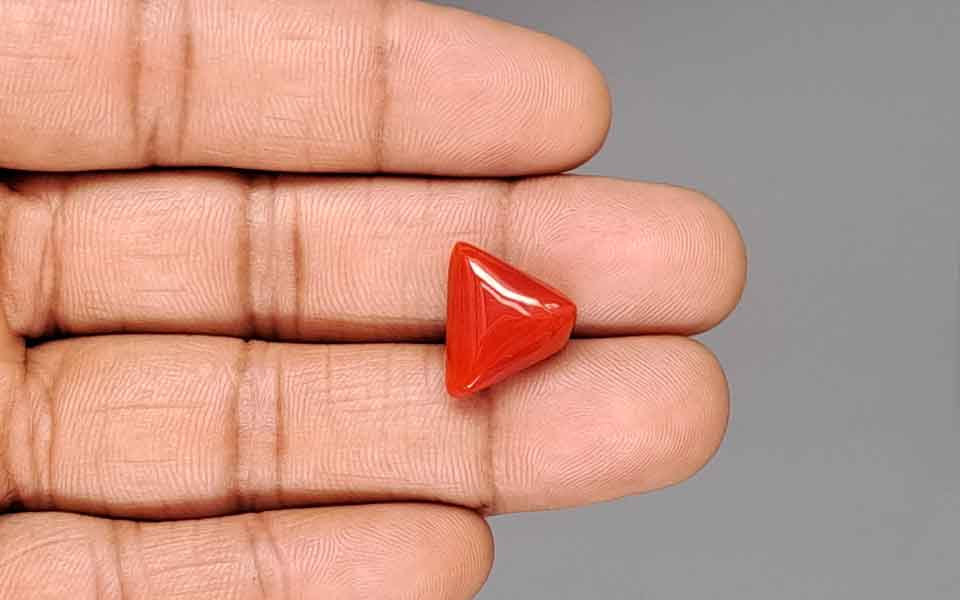 Red Coral - 9.97 Carat (11.02 Ratti - Moonga)