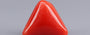 Red Coral - 9.97 Carat (11.02 Ratti - Moonga)