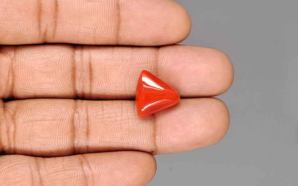 Red Coral - 9.98 Carat (11.03 Ratti - Moonga)