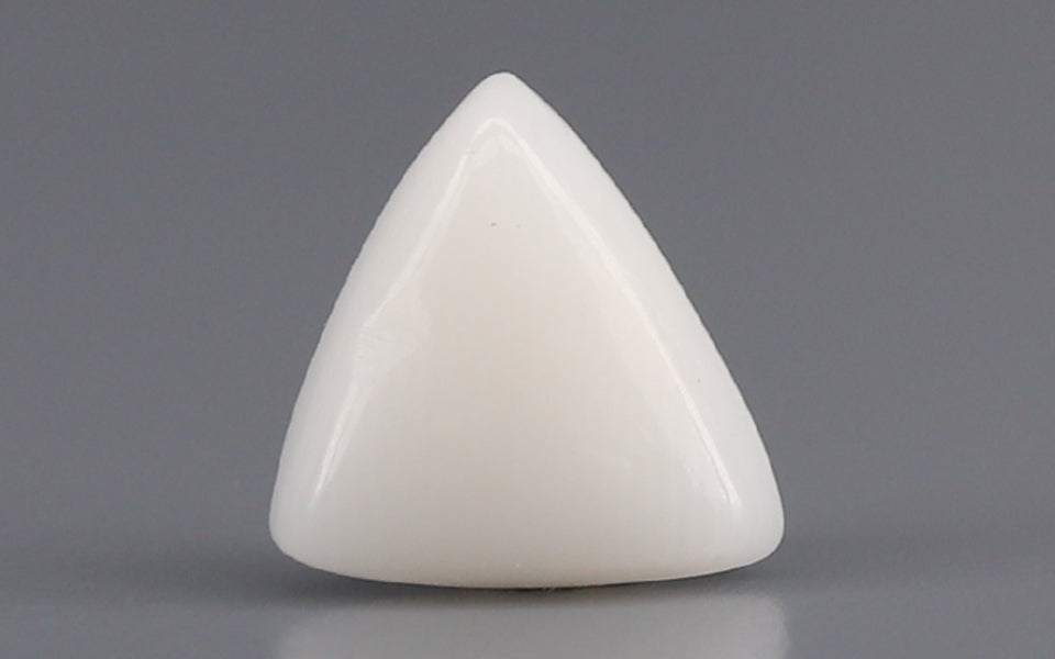 Italian White Coral - 1.5 Carat Limited Quality TWC-22045