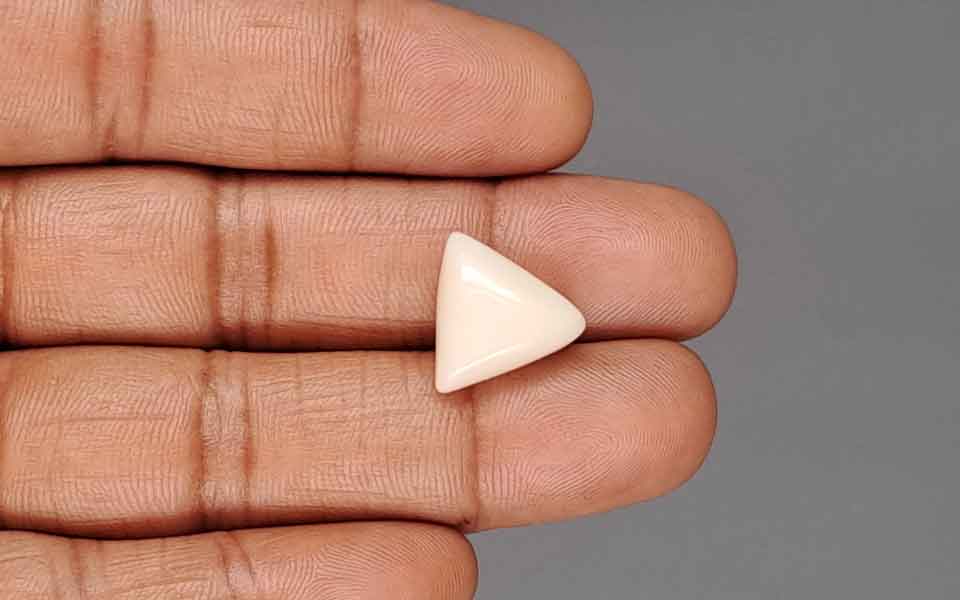 Italian White Coral - 10.30 Carat Rare Quality TWC-22103