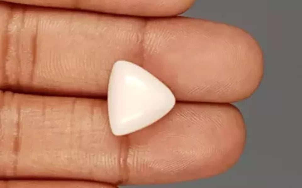 Italian White Coral - 10.46 Carat Limited Quality TWC-22050