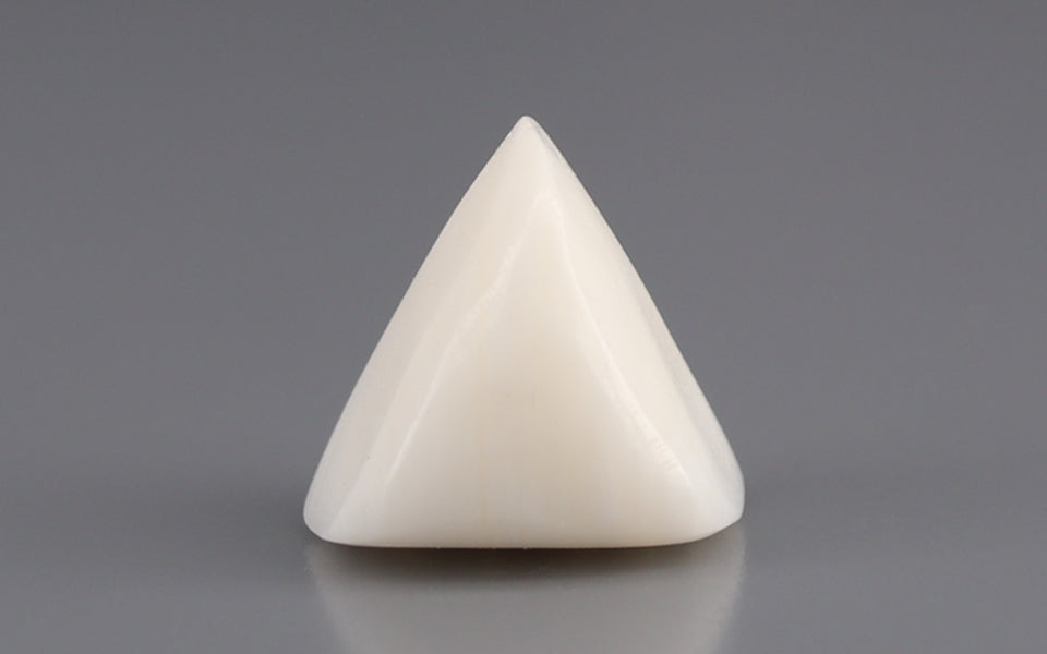 Italian White Coral - 10.64 Carat Rare Quality TWC-22038