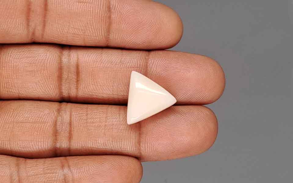 Italian White Coral - 10.90 Carat Rare Quality TWC-22106
