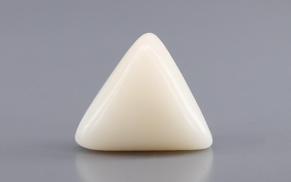 Italian White Coral - 11.08 Carat Rare Quality TWC-22104