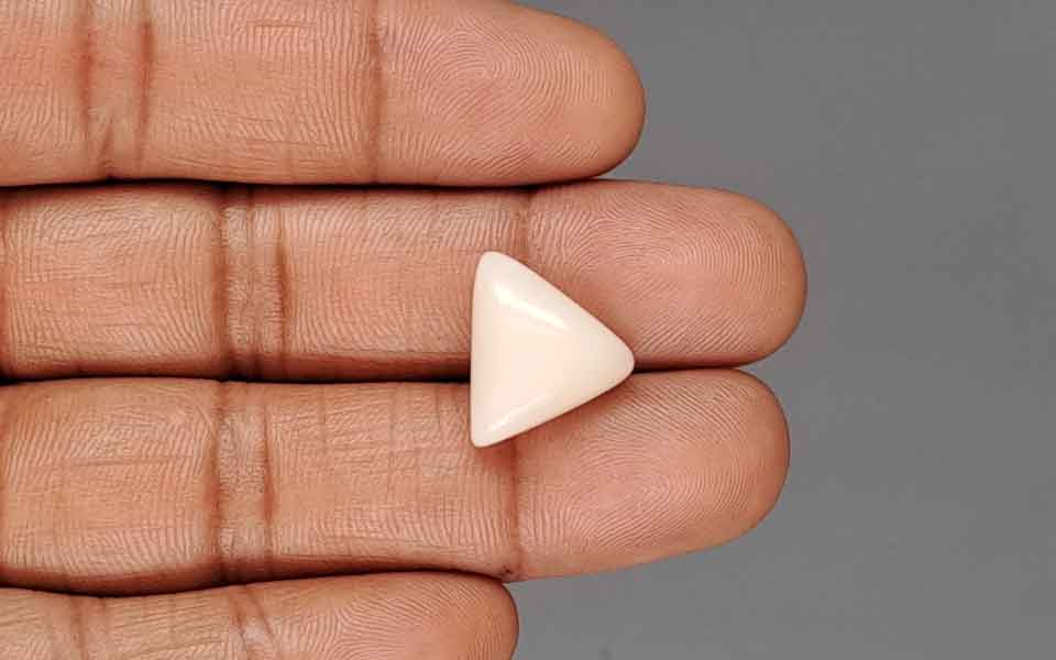 Italian White Coral - 11.08 Carat Rare Quality TWC-22104