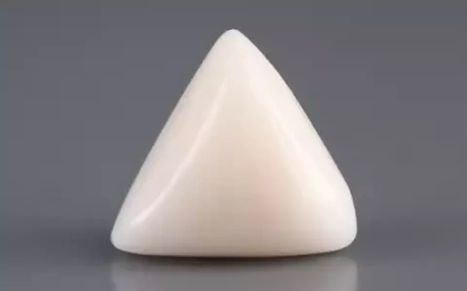 Italian White Coral - 11.45 Carat Limited Quality TWC-22098