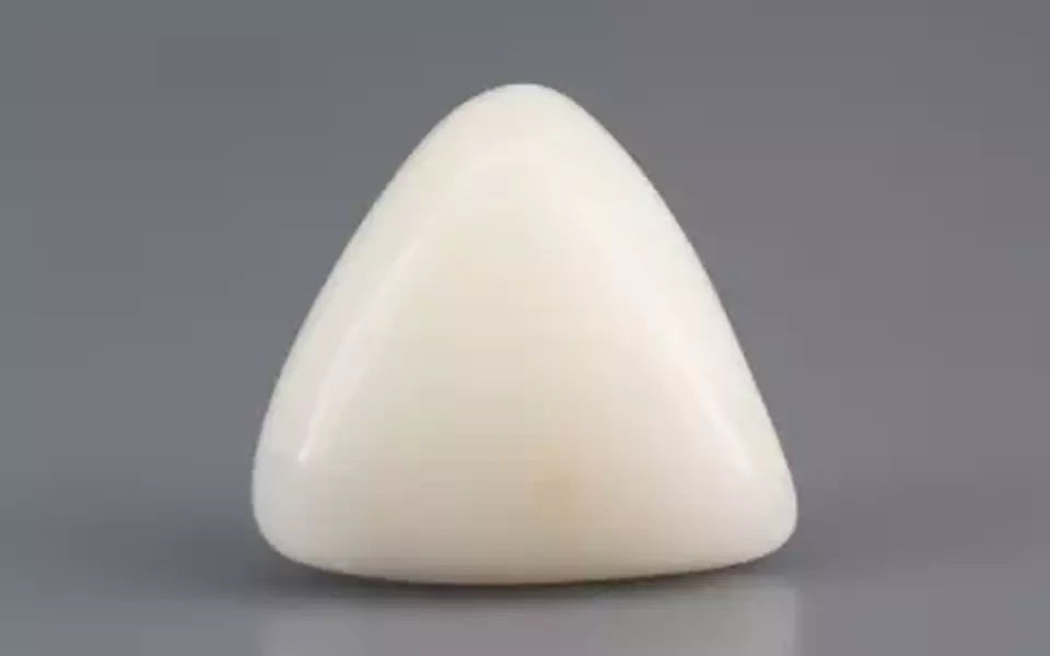 Italian White Coral - 11.55 Carat Limited Quality TWC-22049