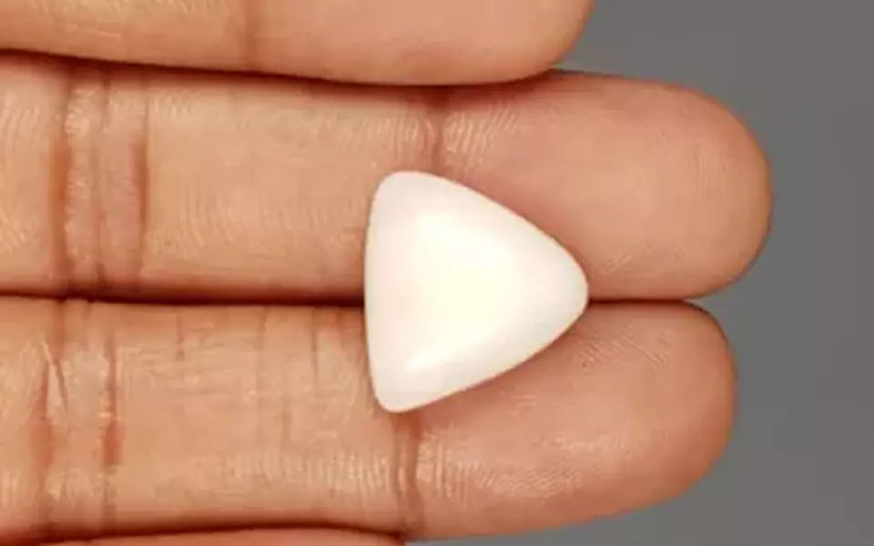 Italian White Coral - 11.55 Carat Limited Quality TWC-22049
