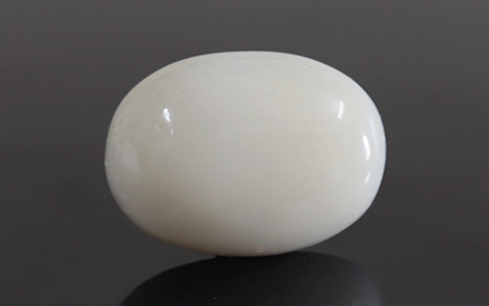 Italian White Coral - 12.06 Carat Prime Quality WC-7579