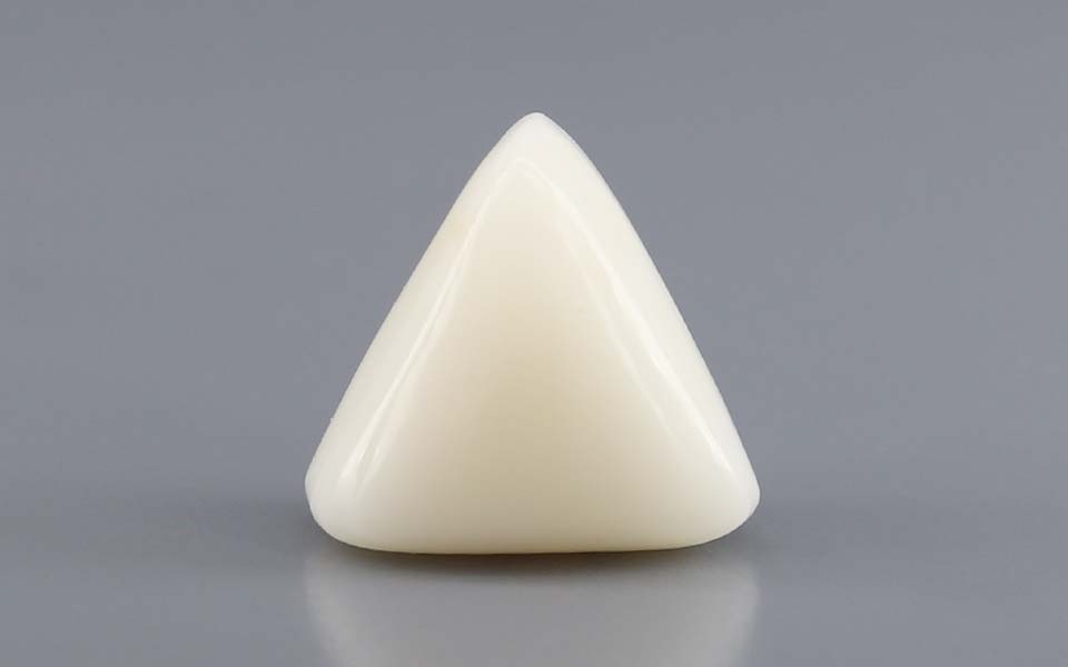 Italian White Coral - 12.23 Carat Rare Quality TWC-22099